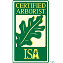 Certified Arborist ISA