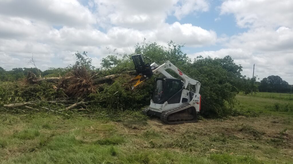Storm damage to trees