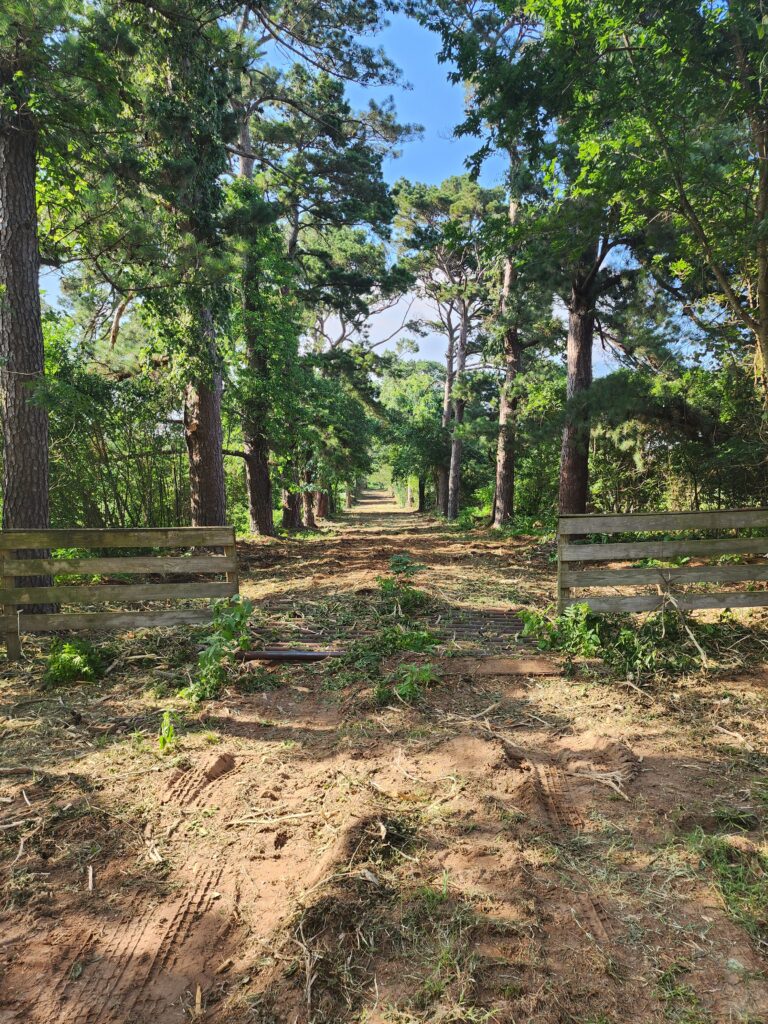 Selective lot clearing