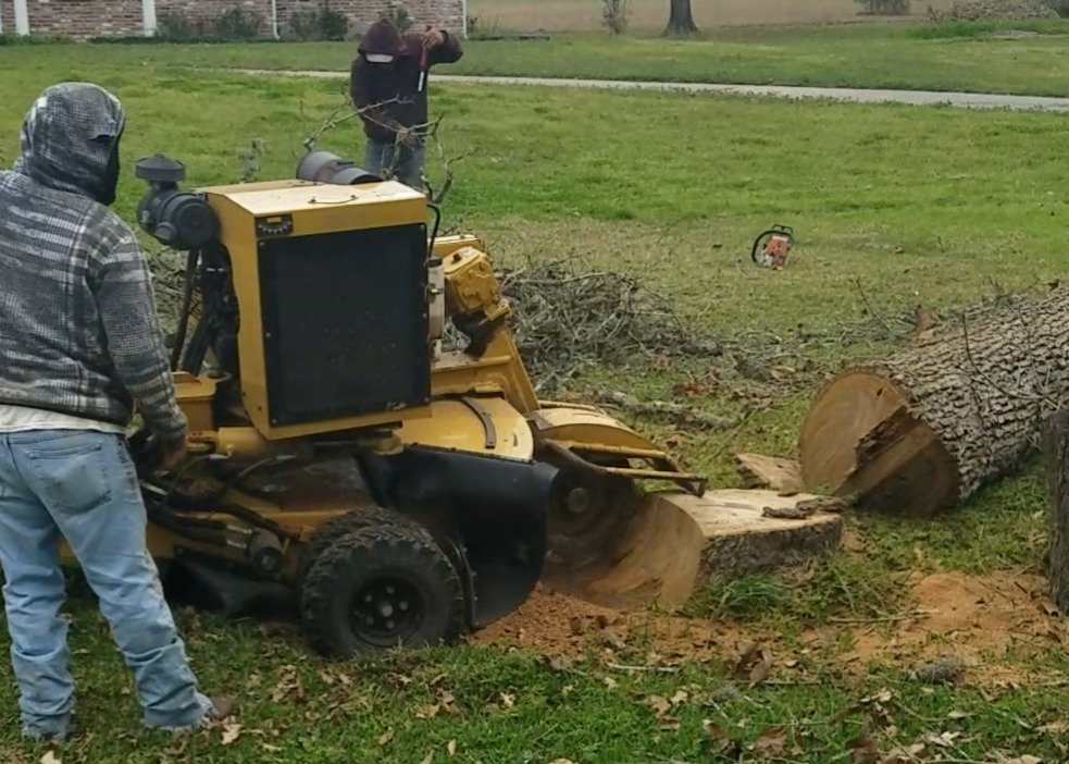 Stump Grinding