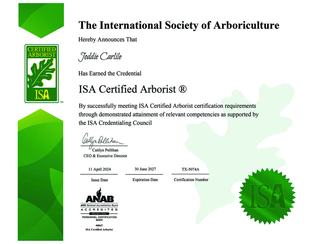 Joddie Carlile Certified Arborist