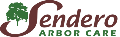 Sendero Arbor Care logo