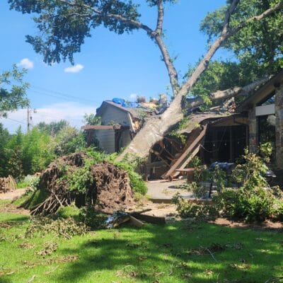 Emergency Services for Trees