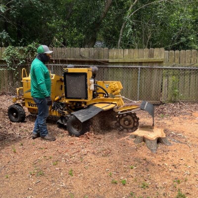 Stump Grinding